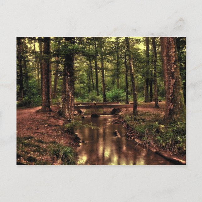 En la postal del bosque (Anverso)