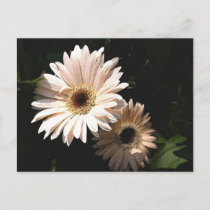 En la postal del jardín