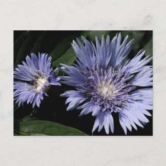 En la postal del jardín