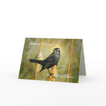 En la tarjeta de felicitación de cumpleaños livian