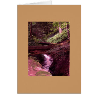 En la tarjeta de ruta de acceso derecha