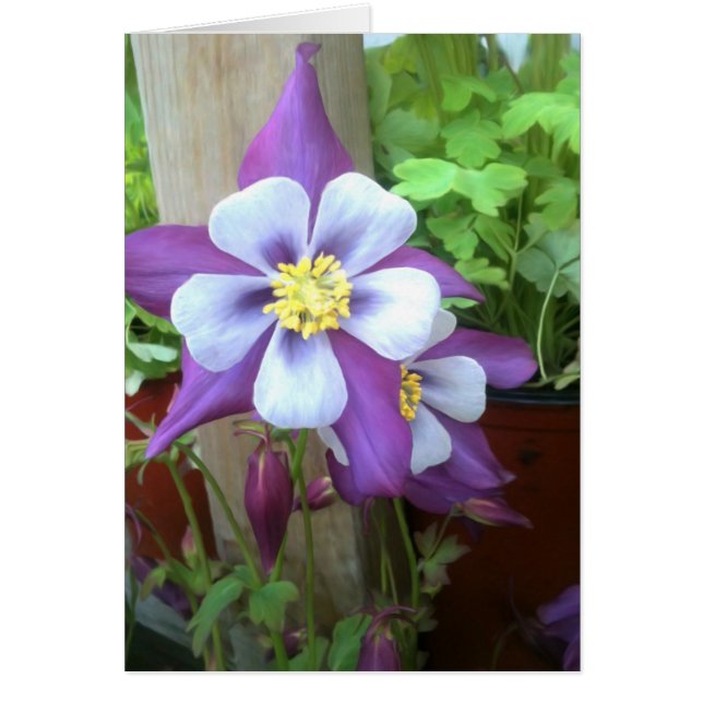 En la tarjeta en blanco del poste (Frente)