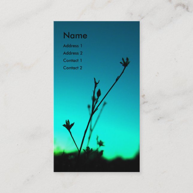 En la tarjeta ideal del perfil (Anverso)