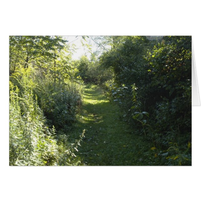 En los bosques (Anverso (Horizontal))