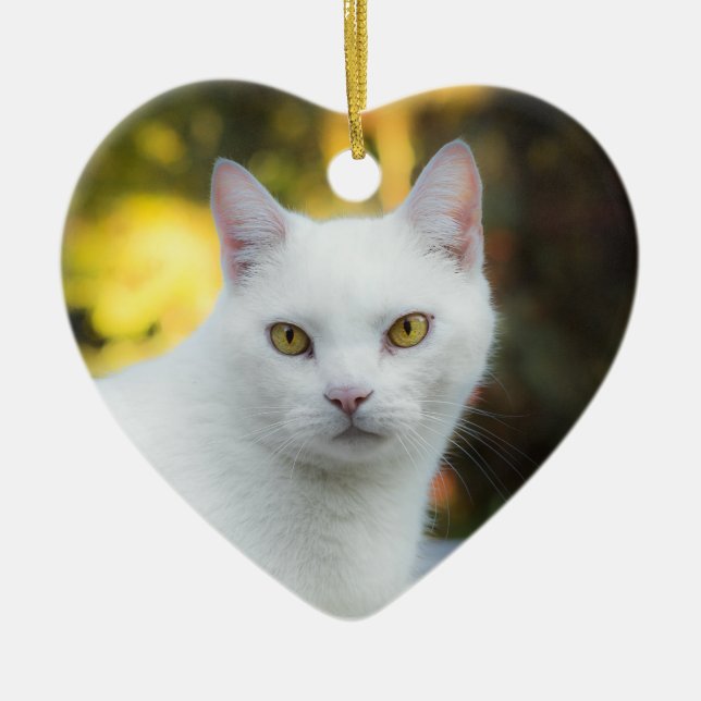 En Memoria Del Ornamento Del Arcoiris De Mascota (Frente)