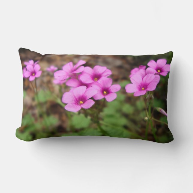 En Mi Almohada De La Puerta (Anverso)