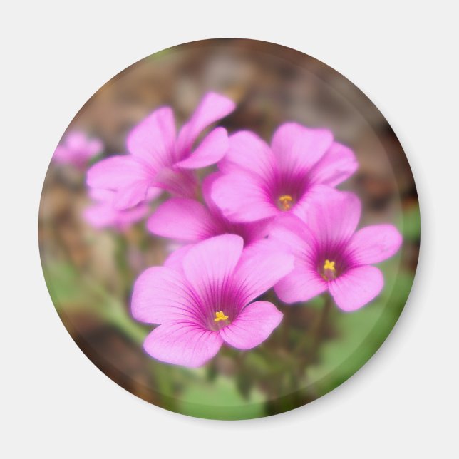 En mi imán de puertas (Frente)