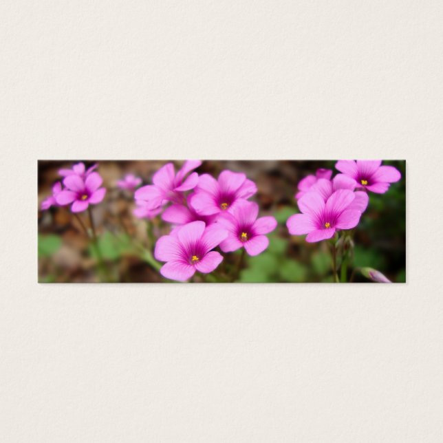 En Mis Marcadores De Puerta (Frente)