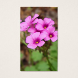 En Mis Marcadores De Puerta