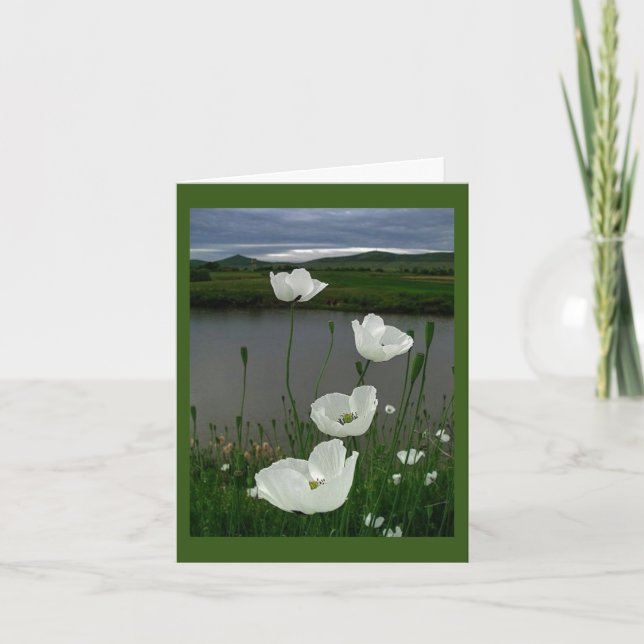 EN NUESTRO *ANIVERSARIO* CELEBRAMOS LA TARJETA "ES (Anverso)