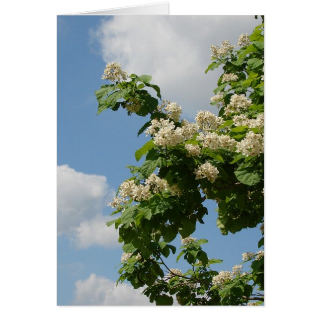 En pleno auge (Frente)