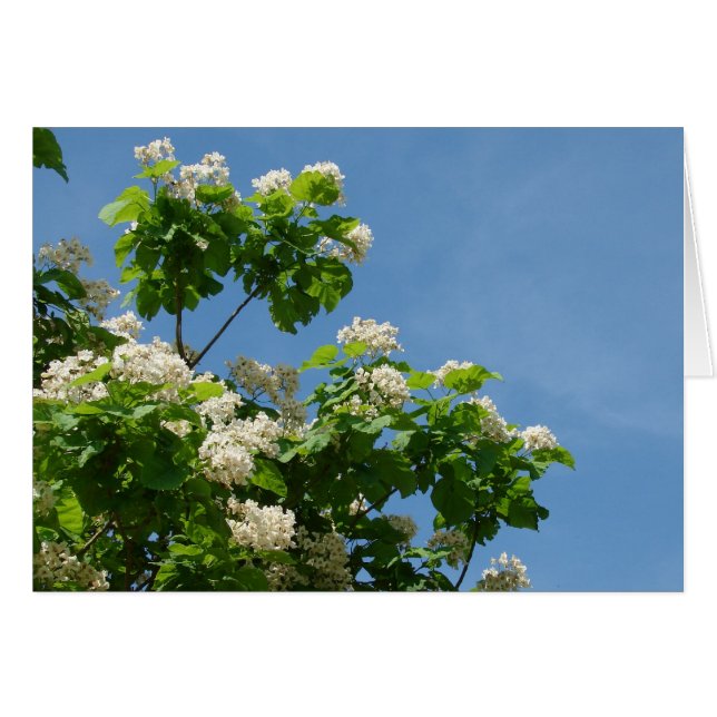 En pleno auge (Anverso (Horizontal))