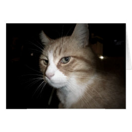 ¿En qué está pensando?