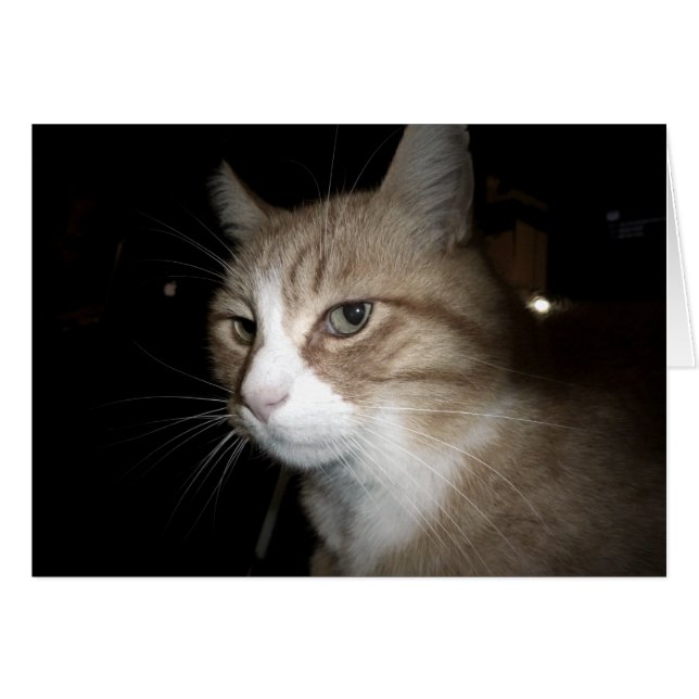 ¿En qué está pensando? (Anverso (Horizontal))