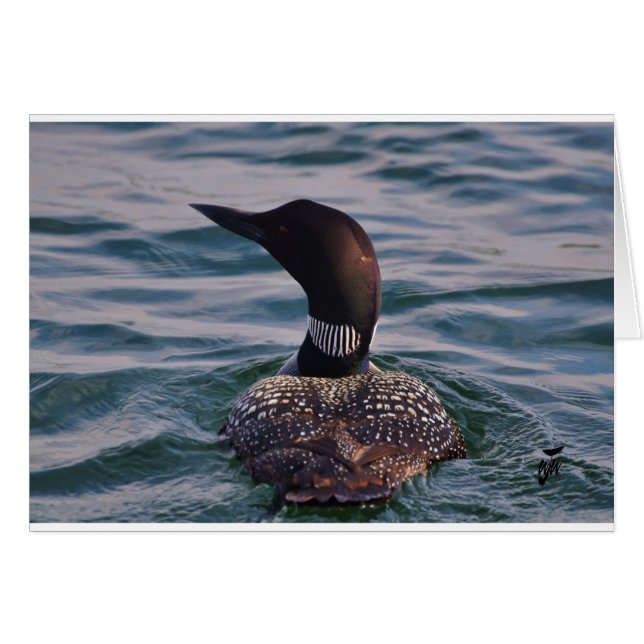 En su cola (Anverso (Horizontal))