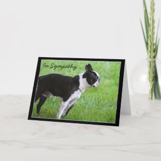 En Sympathy Boston Terrier tarjeta de saludo