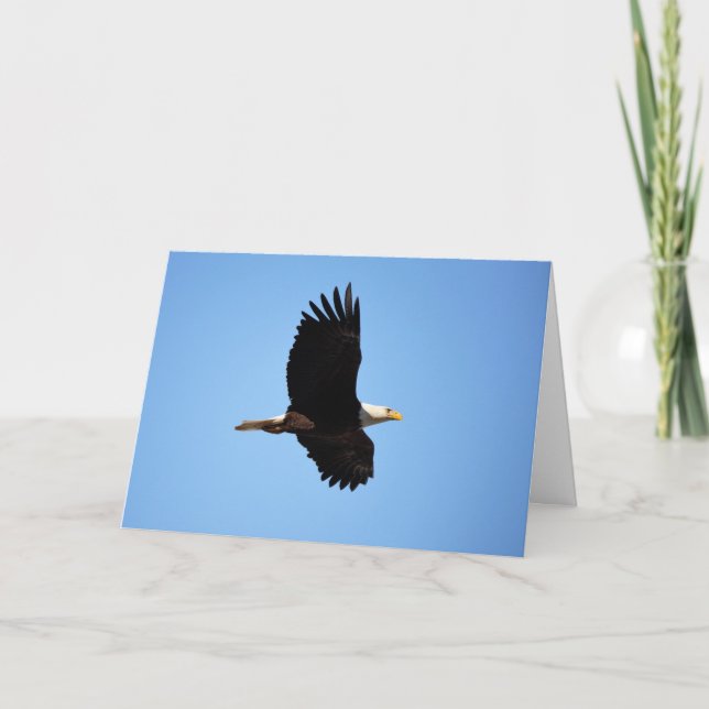 En tarjeta de alas águilas (Anverso)