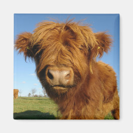 En tu imán de vaca facial