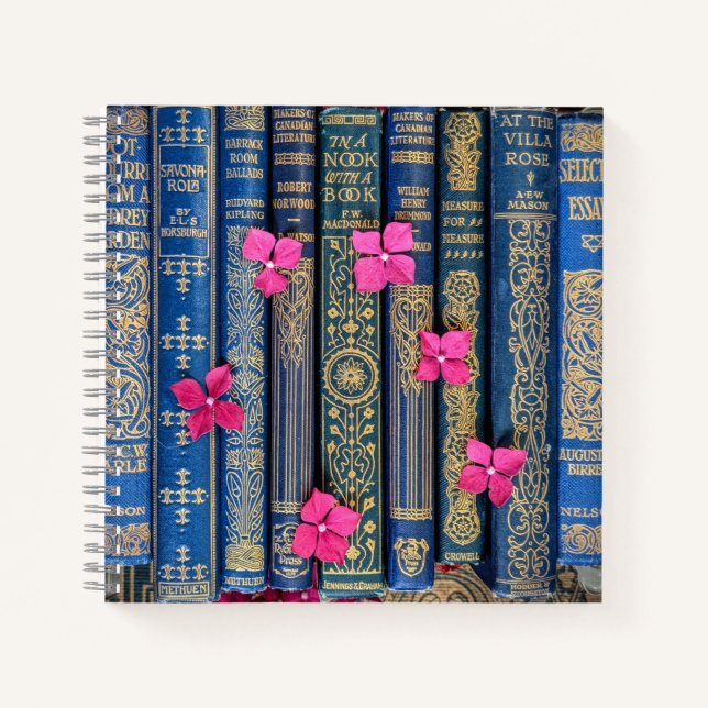 En un rincón con un libro (Anverso)