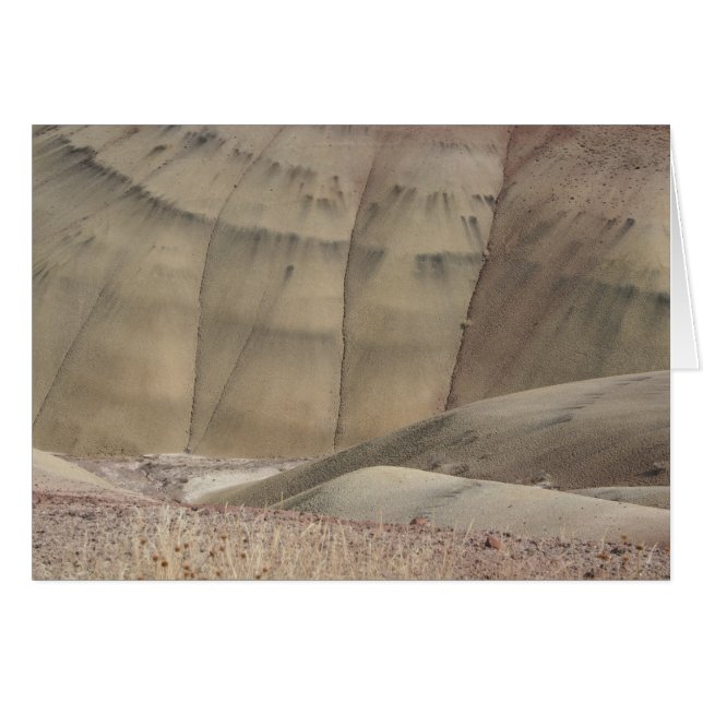 En un surco (Anverso (Horizontal))