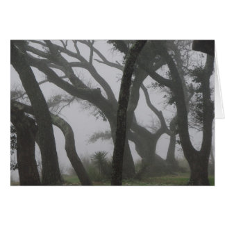 En una niebla