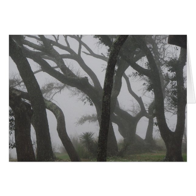 En una niebla (Anverso (Horizontal))