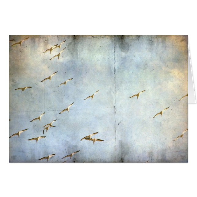 En vuelo (Anverso (Horizontal))