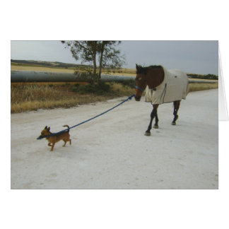 Encabezado para el hogar