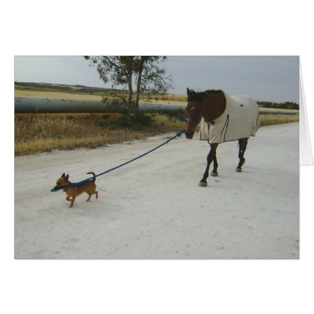 Encabezado para el hogar (Anverso (Horizontal))