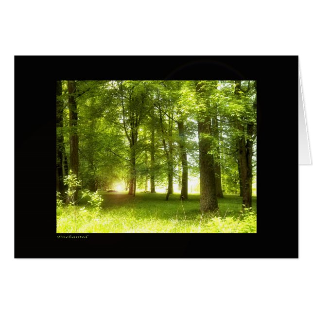 Encantado (Anverso (Horizontal))