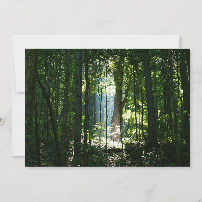 Encantado, Misterioso, Hermoso (Anverso)