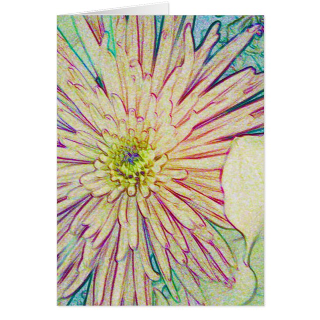 Encantador_ (Frente)