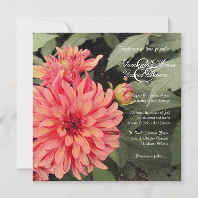 Encantadora invitación a la boda de Coral Dahlia (Anverso)
