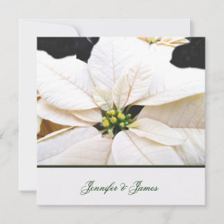 Encantadora invitación a la boda de Poinsettia