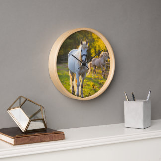 "Encanto sofisticado: Reloj blanco de caballo por 