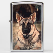 Encendedor del bolsillo de Zippo del perro de