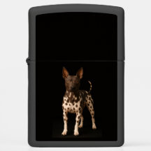 Encendedor Zippo con Terrier Americano sin pelo