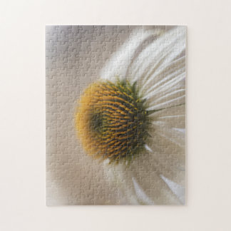 Enchanting White Swan Echinacea Puzzle