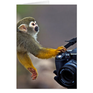 ¡Enciéndase! déjeme tomar el tiro