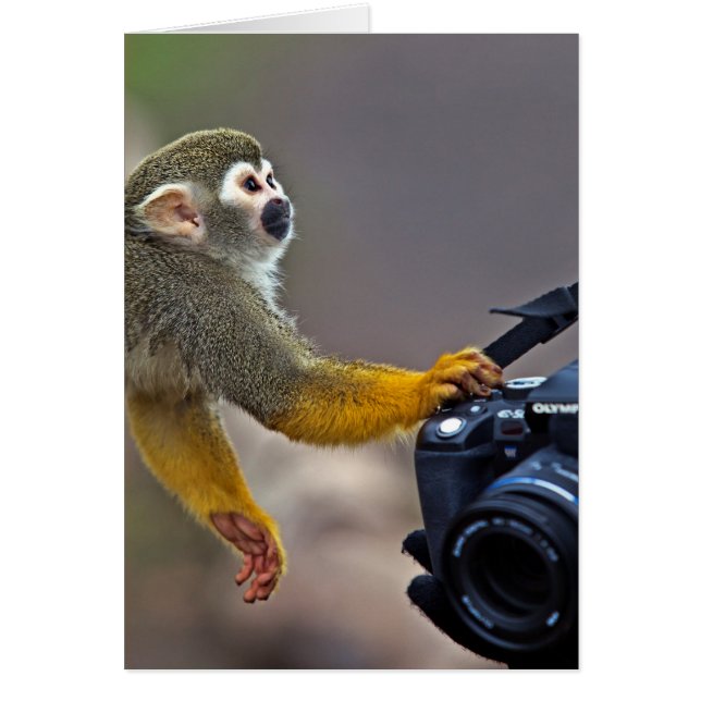 ¡Enciéndase! déjeme tomar el tiro (Frente)