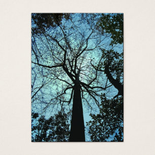 Encima del ATC del árbol