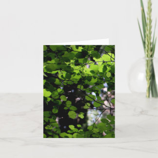 Encima en de la tarjeta de nota de los árboles