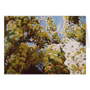 Encima en de las glicinias 2011