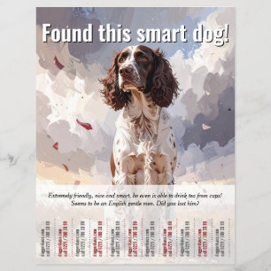 Encontrado un Spaniel - Desprender Folleto