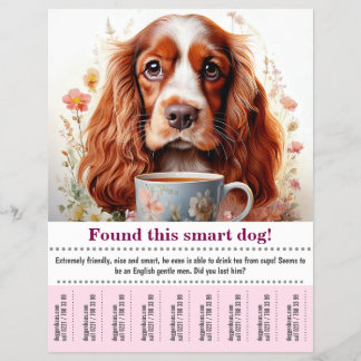 Encontrado un volante de Cocker Spaniel inglés