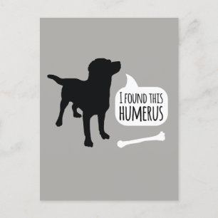Encontré a este perro humero con una postal gracio