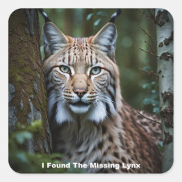 Encontré A Los Pegatinas De Lynx Desaparecidos