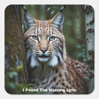 Encontré A Los Pegatinas De Lynx Desaparecidos