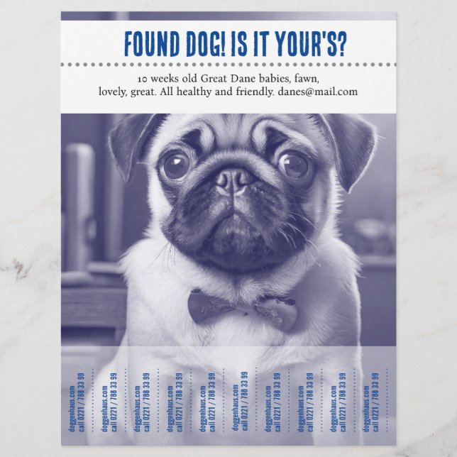 Encontré vendiendo folleto  (Frente)