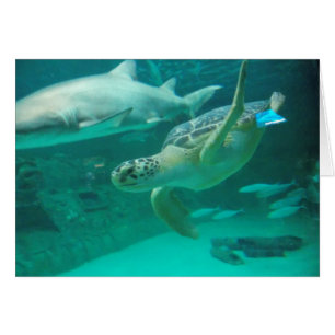 Encuentre su sweet spot